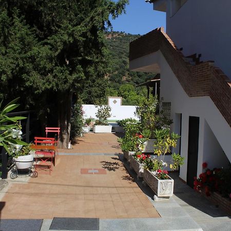 Apartamento Guadiaro 3 Ainhoa Benaoján Екстериор снимка